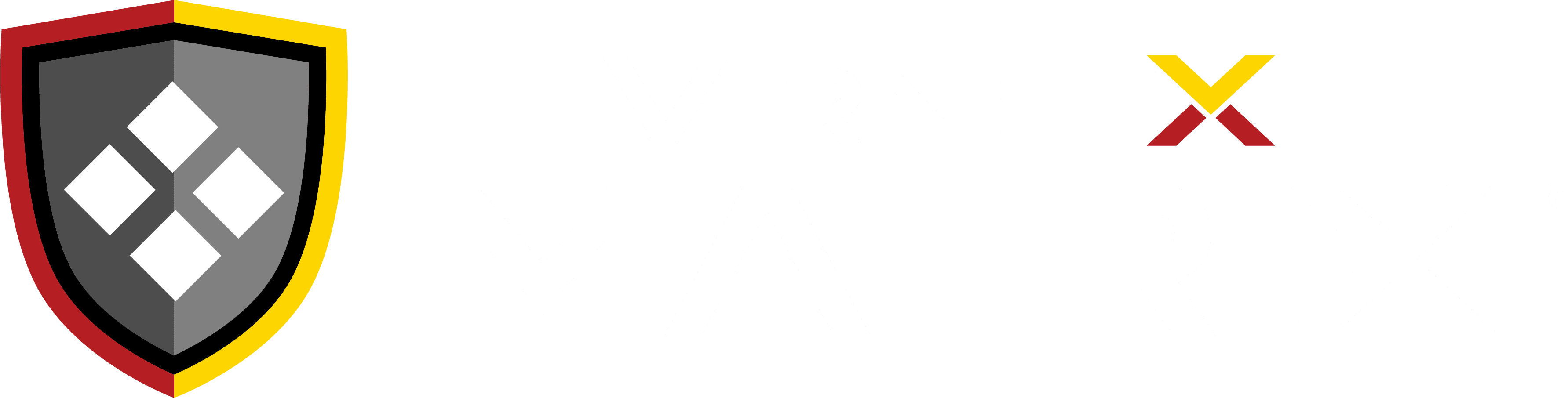 virnetx matrix logo