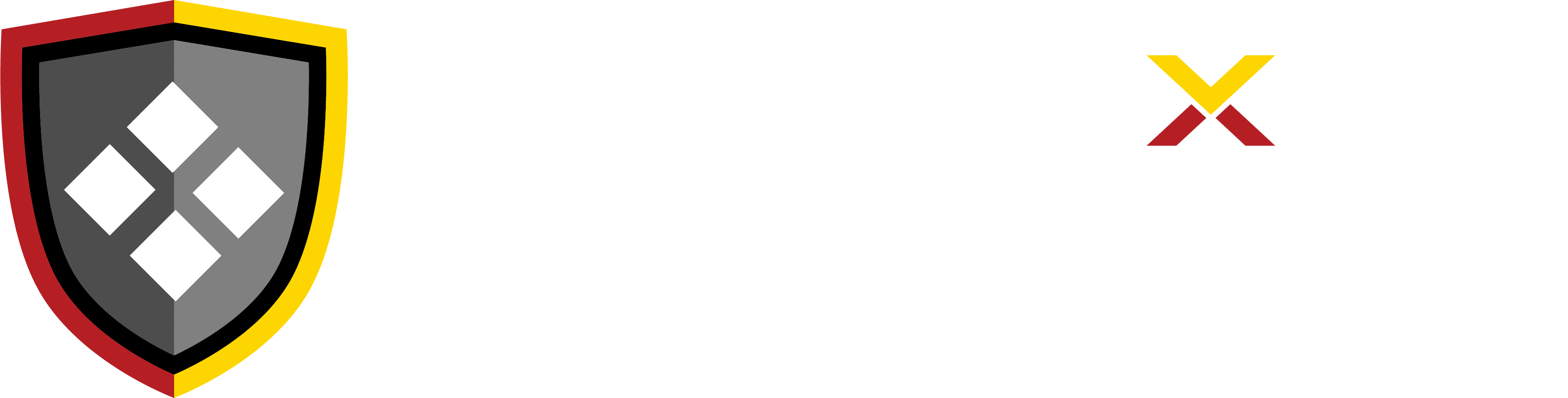 virnetx matrix logo